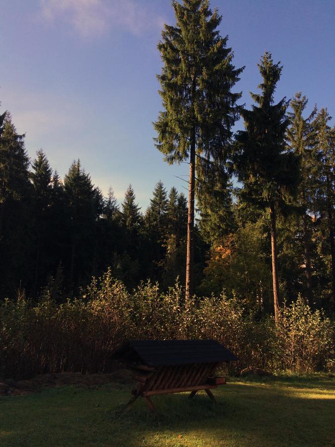 Ht Chalets Harrachov Kültér fotó