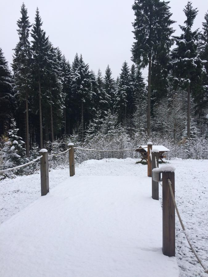 Ht Chalets Harrachov Kültér fotó
