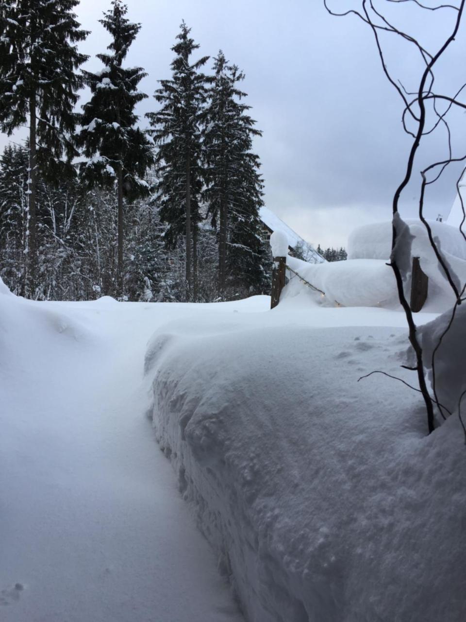 Ht Chalets Harrachov Kültér fotó