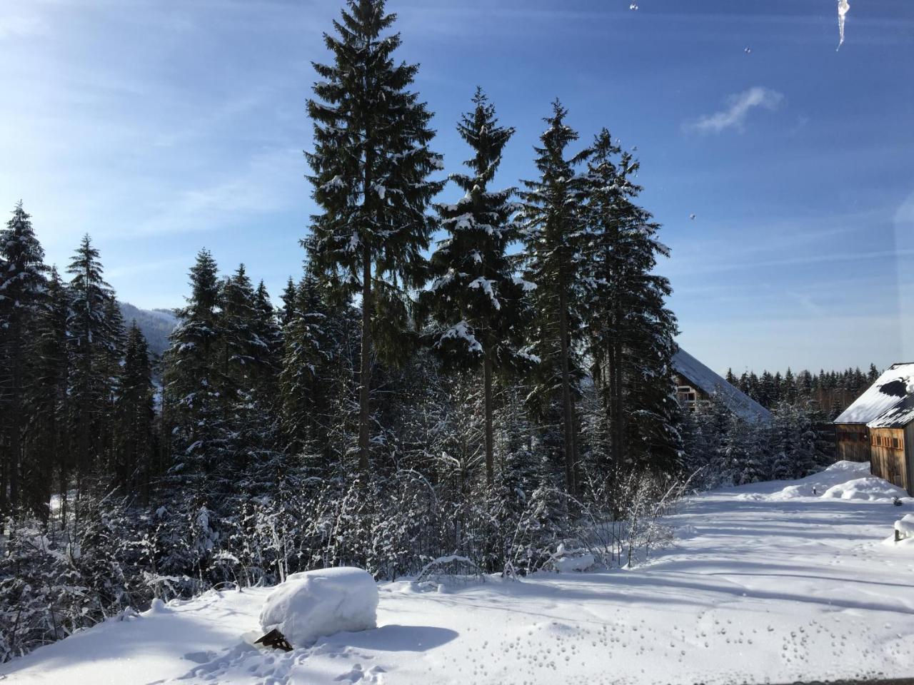 Ht Chalets Harrachov Kültér fotó